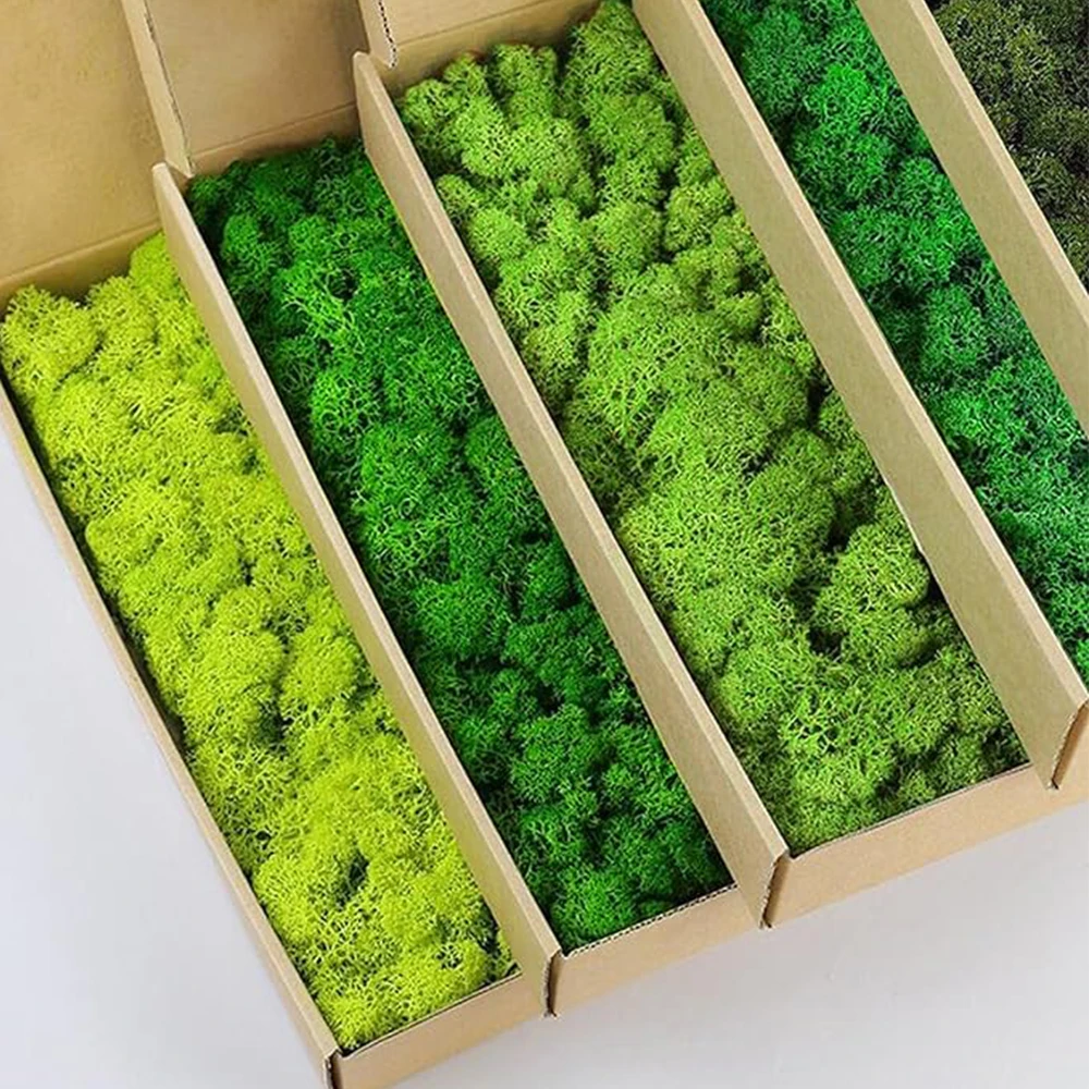 Sphagnum Moss Dry - 20-200g Artificial Green Plants Fake Grass
