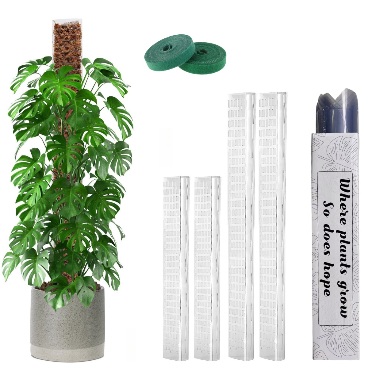 Sphagnum Moss Dry - 24in/36in/48 inch Plastic Moss Pole for