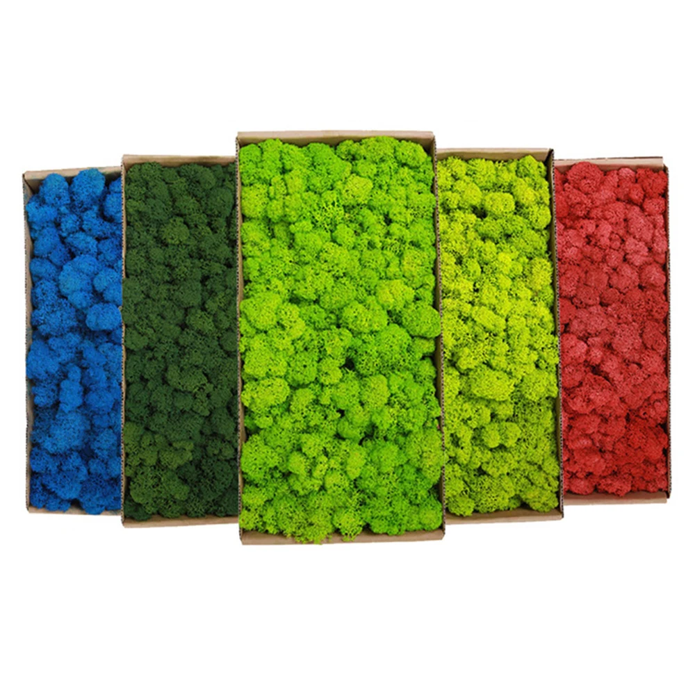 20-200g Artificial Green Plant - огляд і ціна Sphagnum Moss Dry