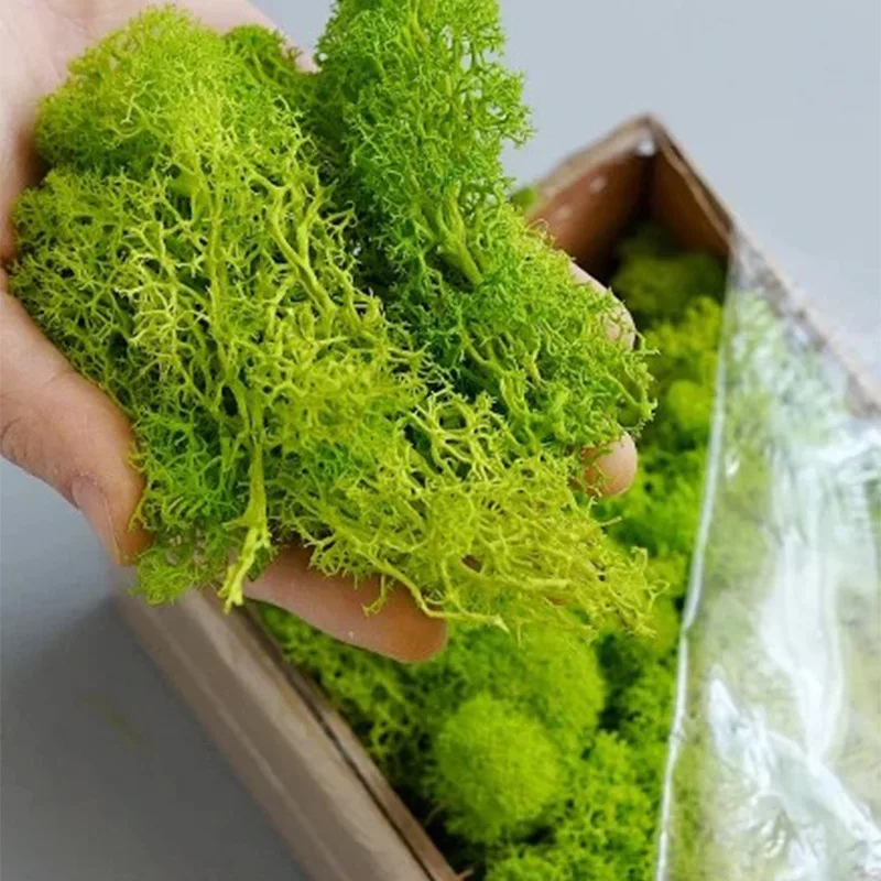 20-200g Artificial Green Plant - огляд і ціна Sphagnum Moss Dry
