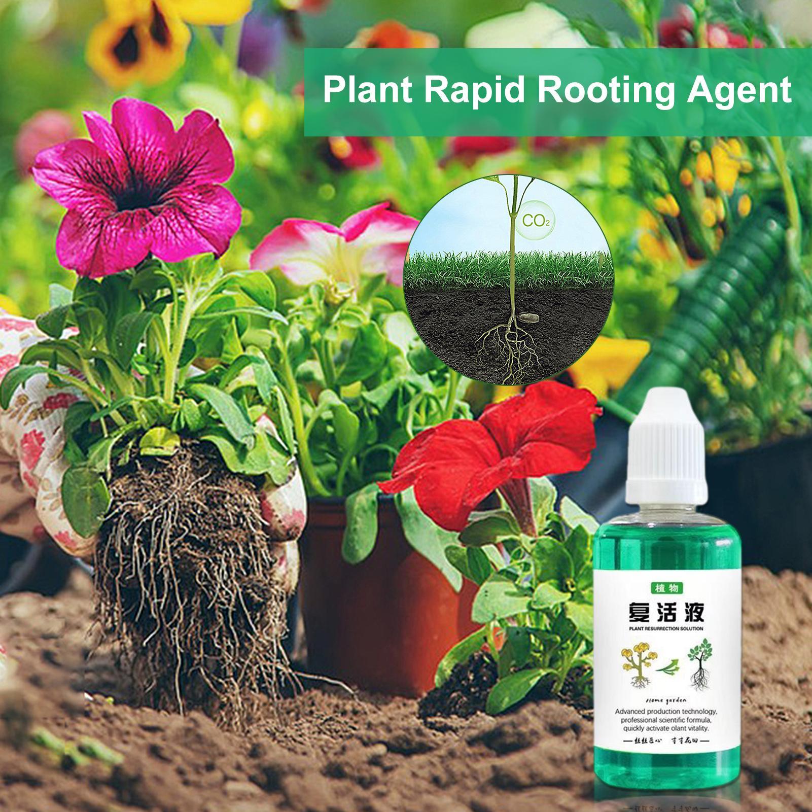 50ml Root Stimulator Plant Res - огляд і ціна Root Stimulator Liquid