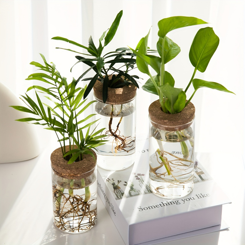 1pc, Hydroponics Plants Deskto - огляд і ціна Propagation Station Vase