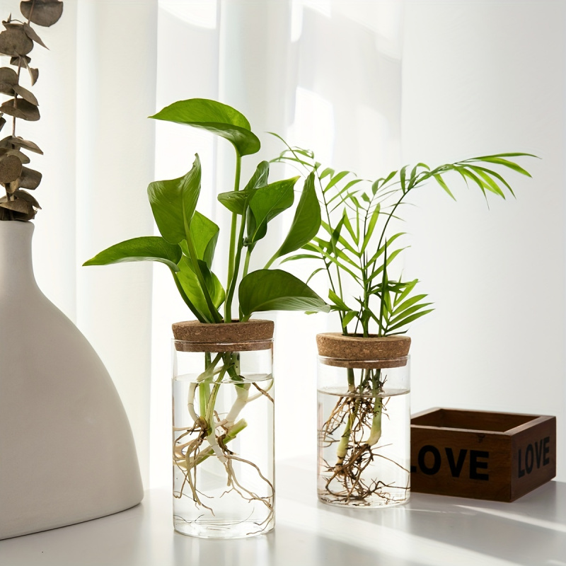 1pc, Hydroponics Plants Deskto - огляд і ціна Propagation Station Vase