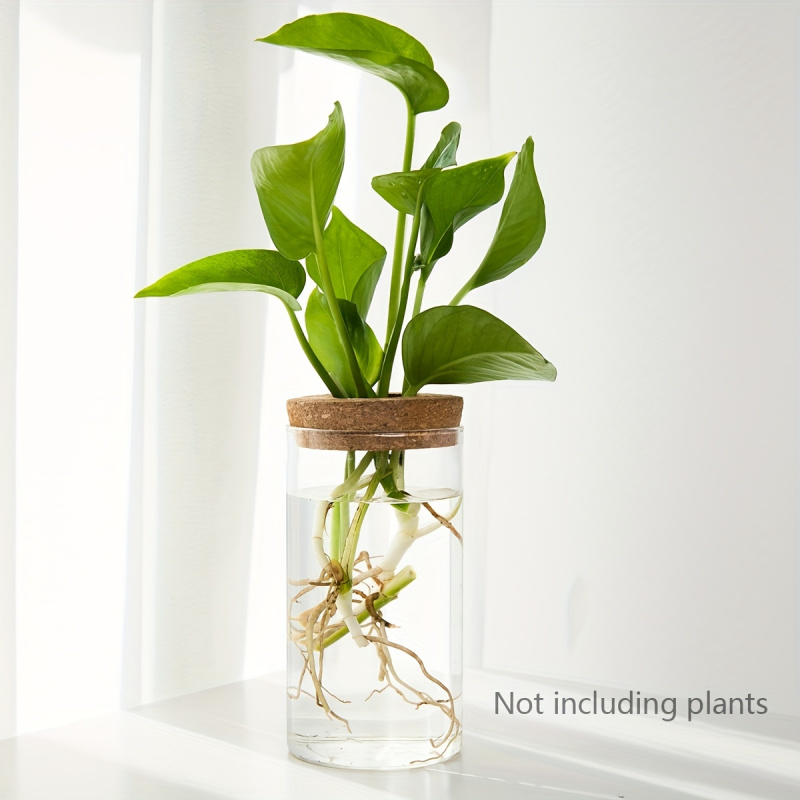 1pc, Hydroponics Plants Deskto - огляд і ціна Propagation Station Vase