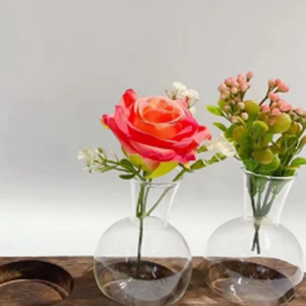 75STO-Hydroponic Plant Vases V - огляд і ціна Propagation Station Vase