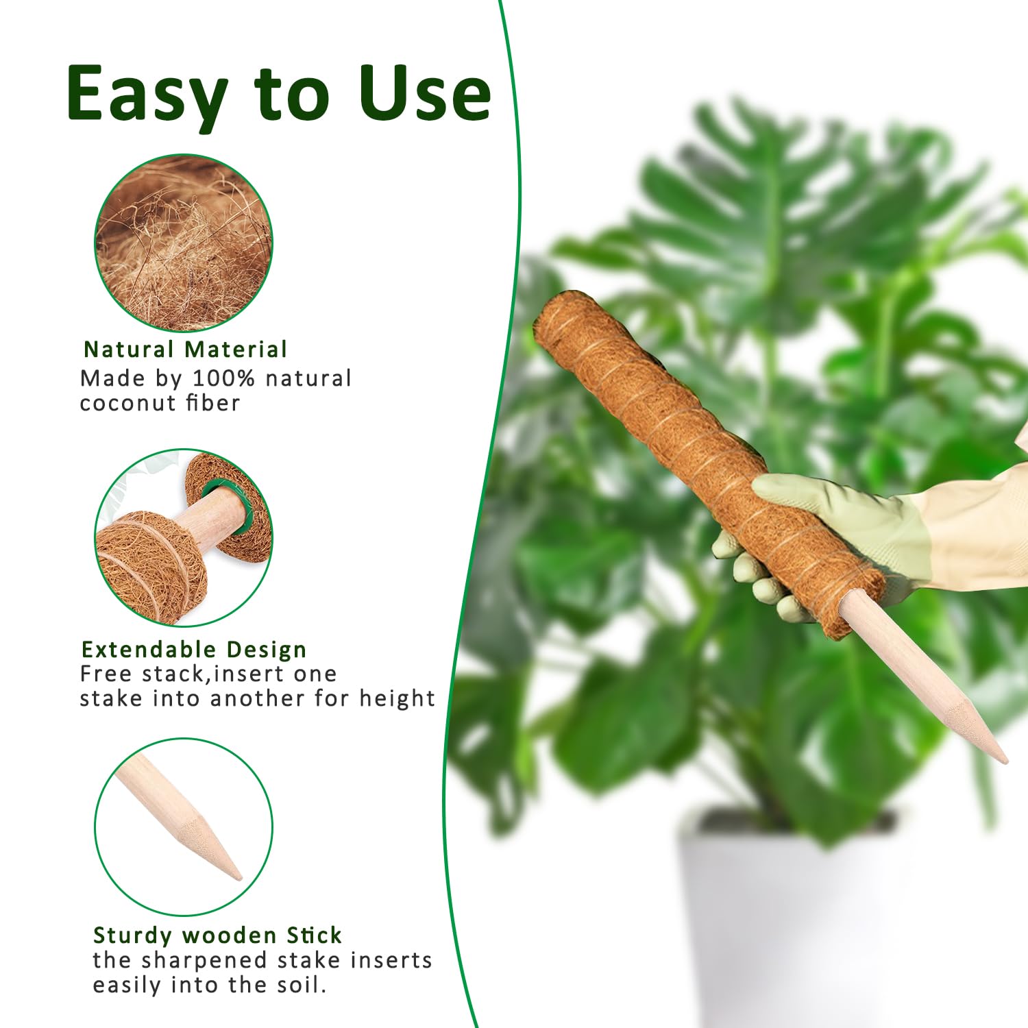 Moss Pole 38/43/53CM Monstera  - огляд і ціна Sphagnum Moss Dry