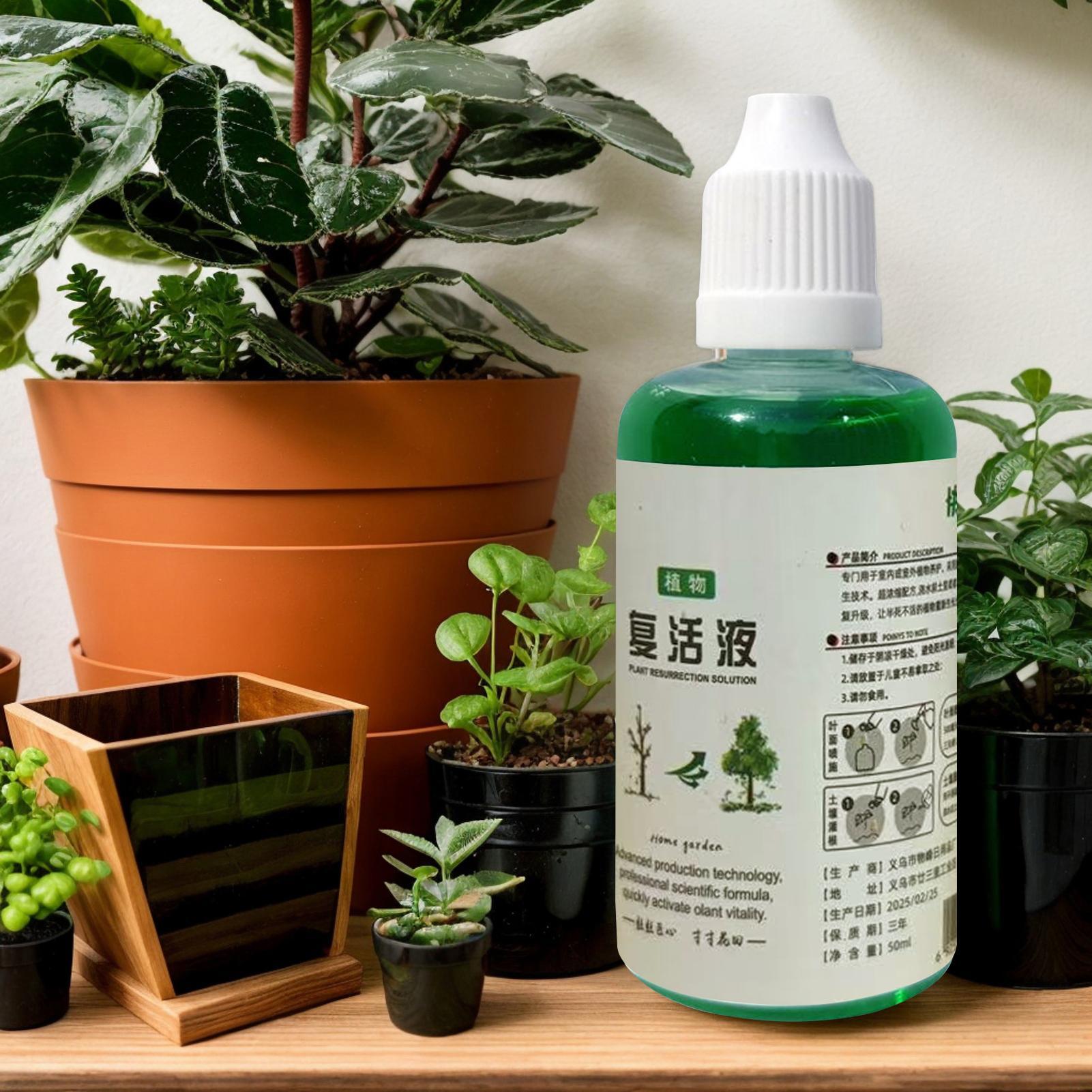 Root Stimulator for Plants Roo - огляд і ціна Root Stimulator Liquid