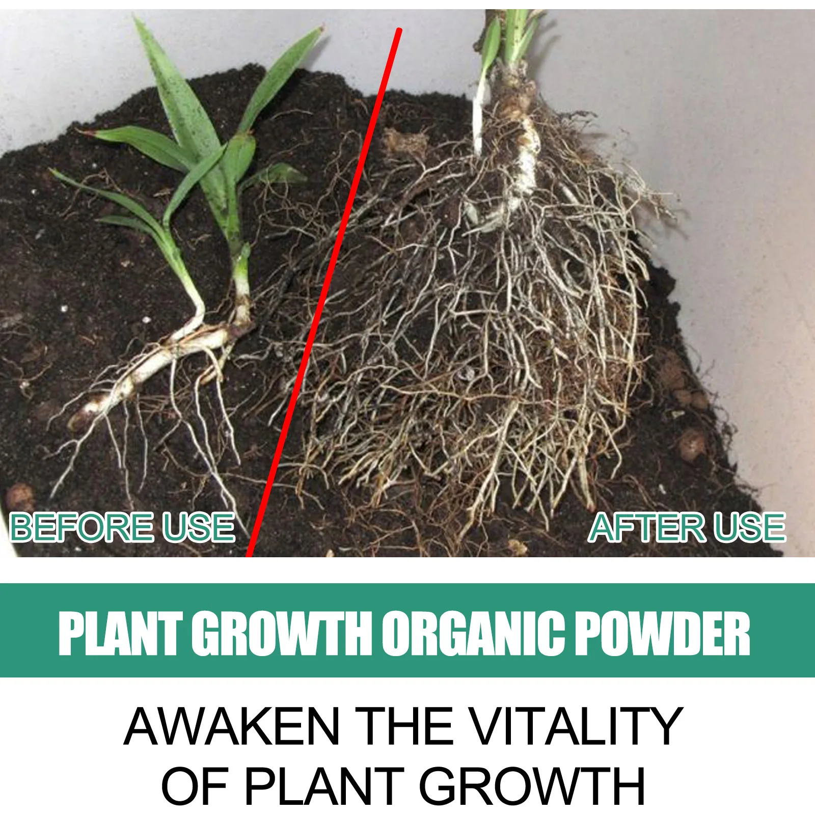 Fast Rooting Powder Plant Soil - огляд і ціна Rooting Hormone Powder