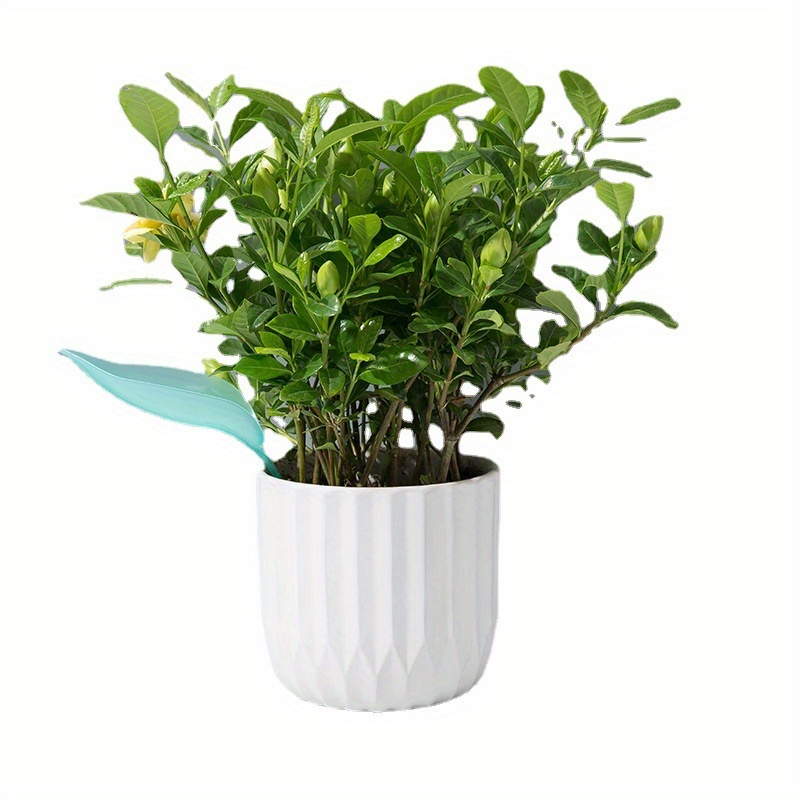 Creative Potted Foliage Divers - огляд і ціна Self Watering Insert