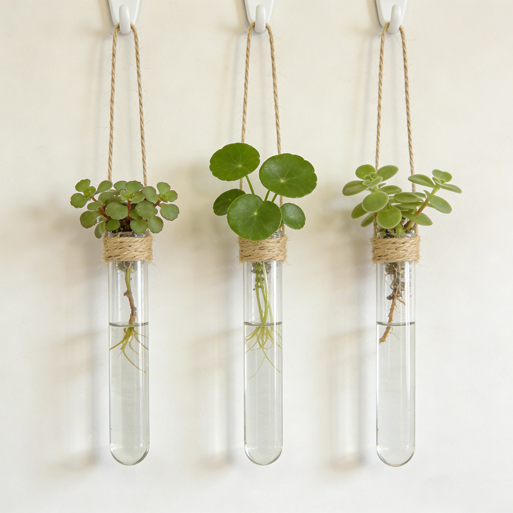 Hydroponic Flower Vase Wall-Mo - огляд і ціна Propagation Station Vase