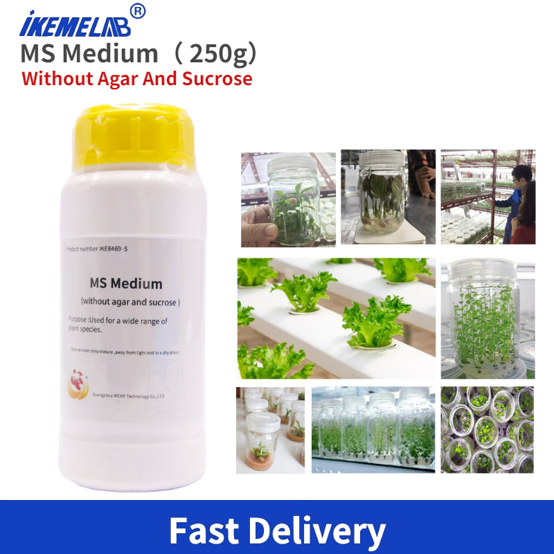 IKEME Lab MS Medium 250g Witho - огляд і ціна Agar Tissue Culture