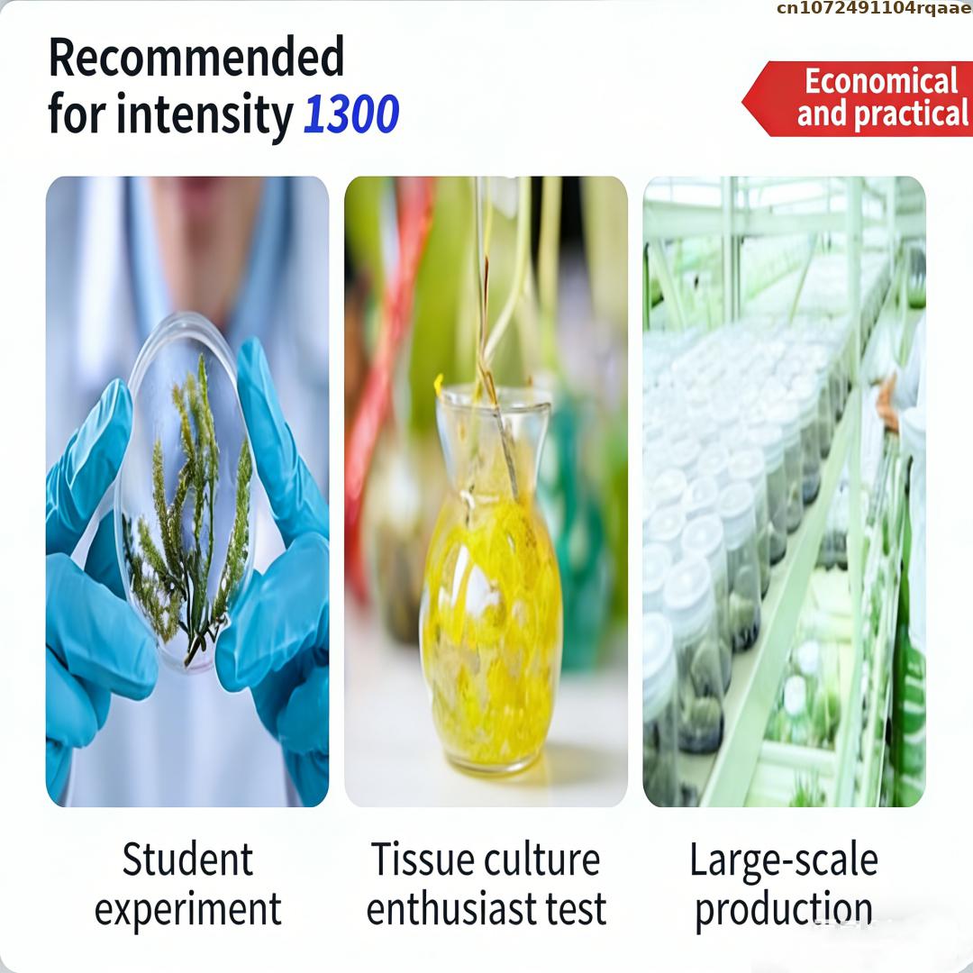Premium Plant Tissue Culture A - огляд і ціна Agar Tissue Culture