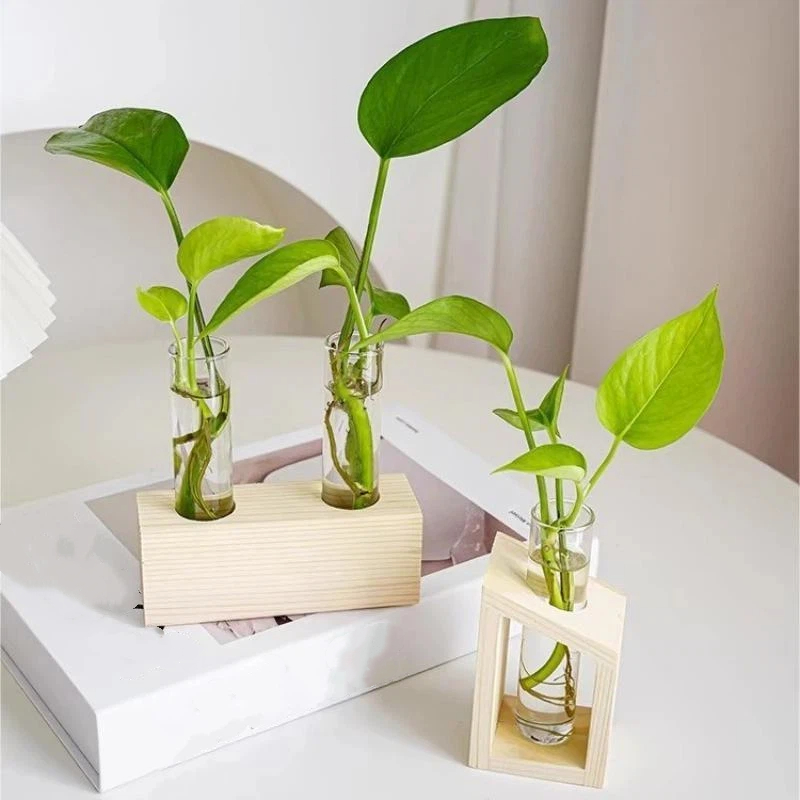 Test Tube Glass Vase Plant Pro - огляд і ціна Propagation Station Vase