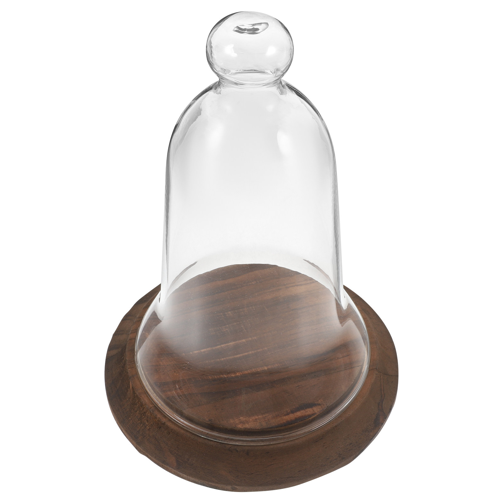 Clear Glass Cloche Dome High B - огляд і ціна Plastic Dome Clear