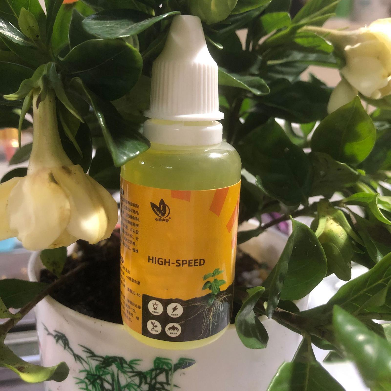 50ml Plant Rooting Stimulator  - огляд і ціна Root Stimulator Liquid