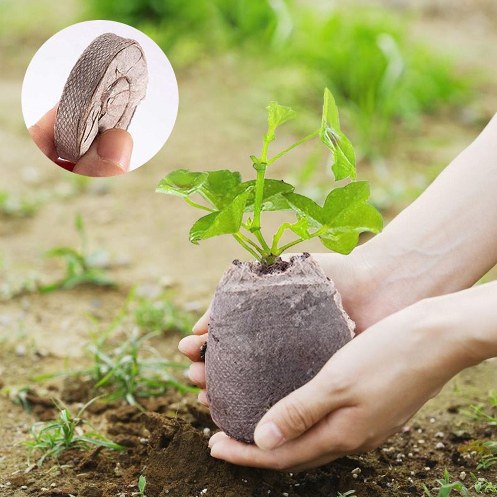100 Piece Potting Mix Trays 30 - огляд і ціна Peat Pellet Tray