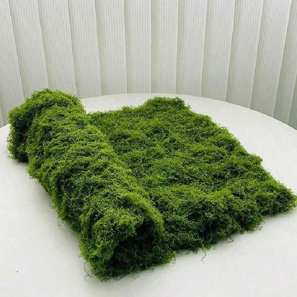 1*1m Fake Moss DIY Crafts Gras - огляд і ціна Sphagnum Moss Dry