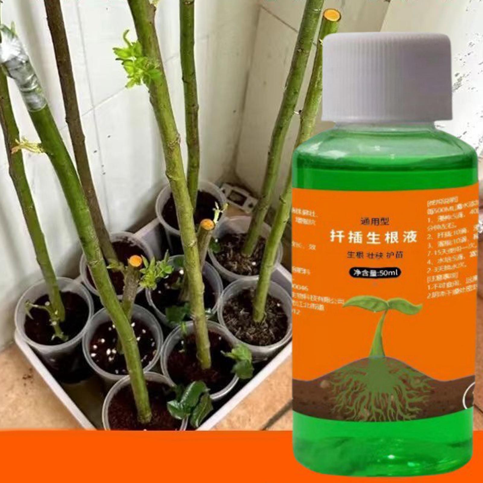 High-Efficiency Root Stimulato - огляд і ціна Root Stimulator Liquid