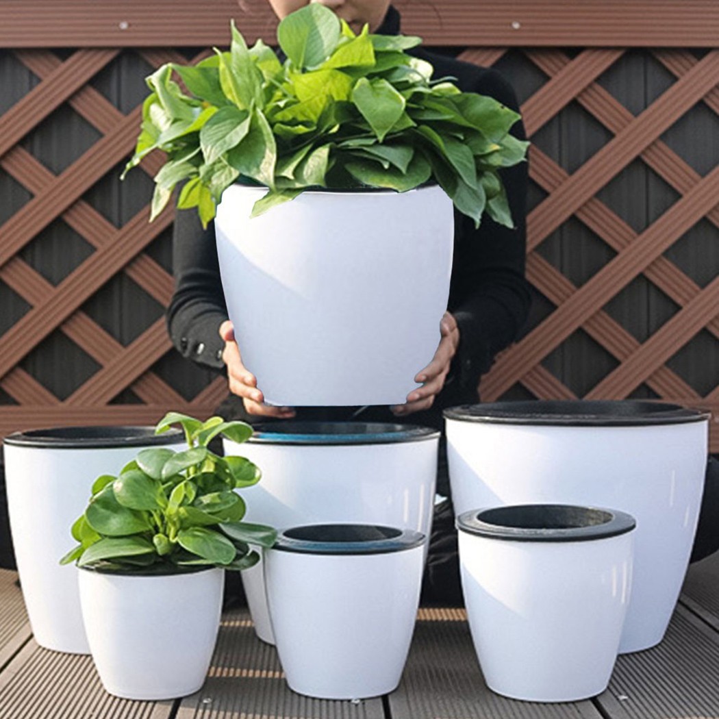 Automatic Watering Flower Plan - огляд і ціна Self Watering Insert