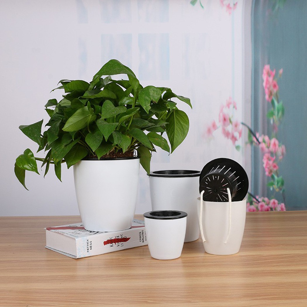 Automatic Watering Flower Plan - огляд і ціна Self Watering Insert