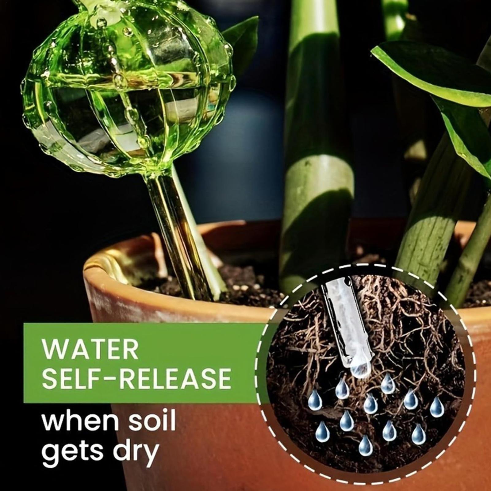 Plant Watering Stakes 3 Pieces - огляд і ціна Self Watering Insert