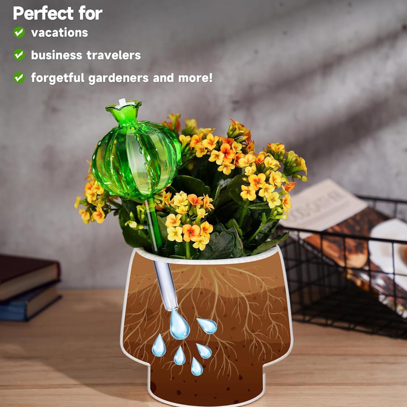 Plant Watering Stakes 3 Pieces - огляд і ціна Self Watering Insert