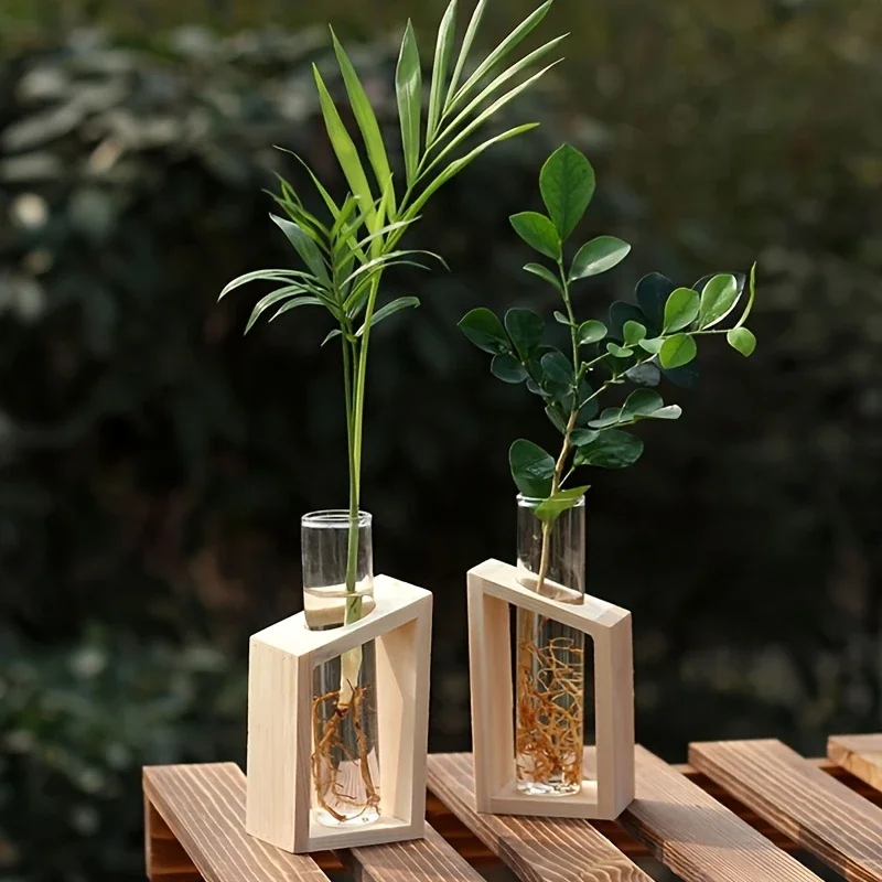 Test Tube Glass Vase Plant Pro - огляд і ціна Propagation Station Vase