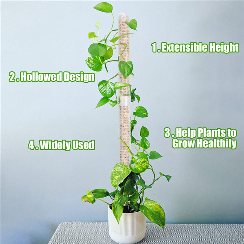 Plant Climbing Column Sphagnum - огляд і ціна Sphagnum Moss Dry