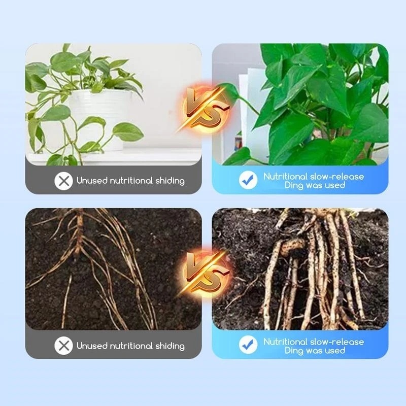 500g High-strength Rooting Hor - огляд і ціна Rooting Hormone Powder