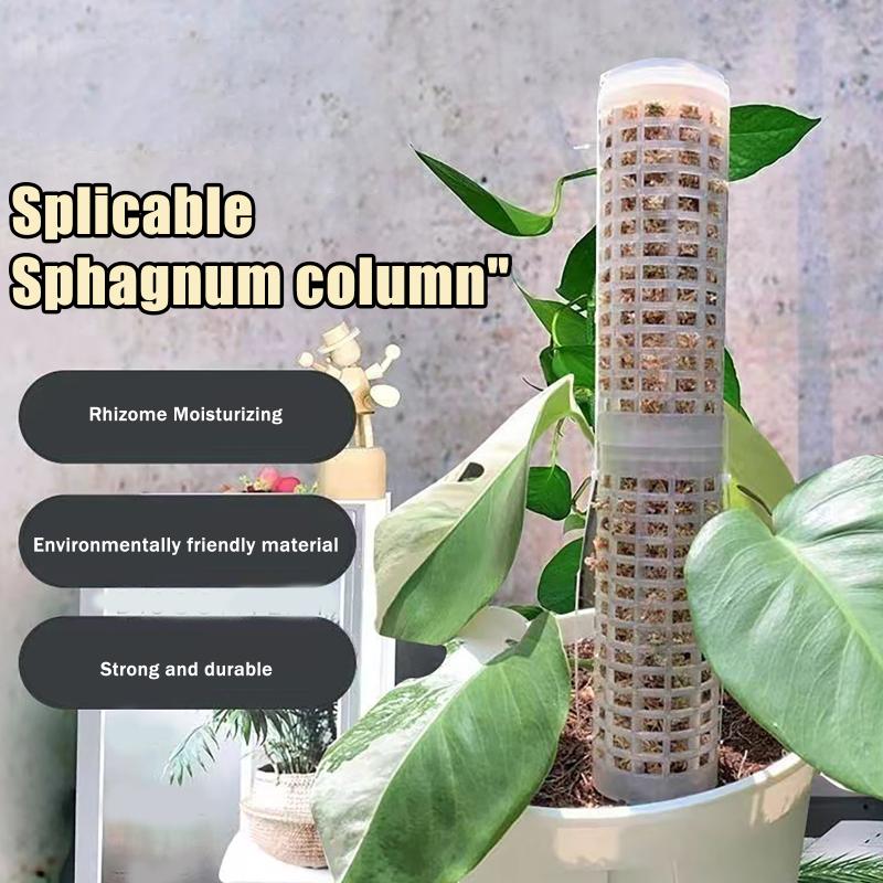6Pcs Moss Pole Plastic Plant S - огляд і ціна Sphagnum Moss Dry