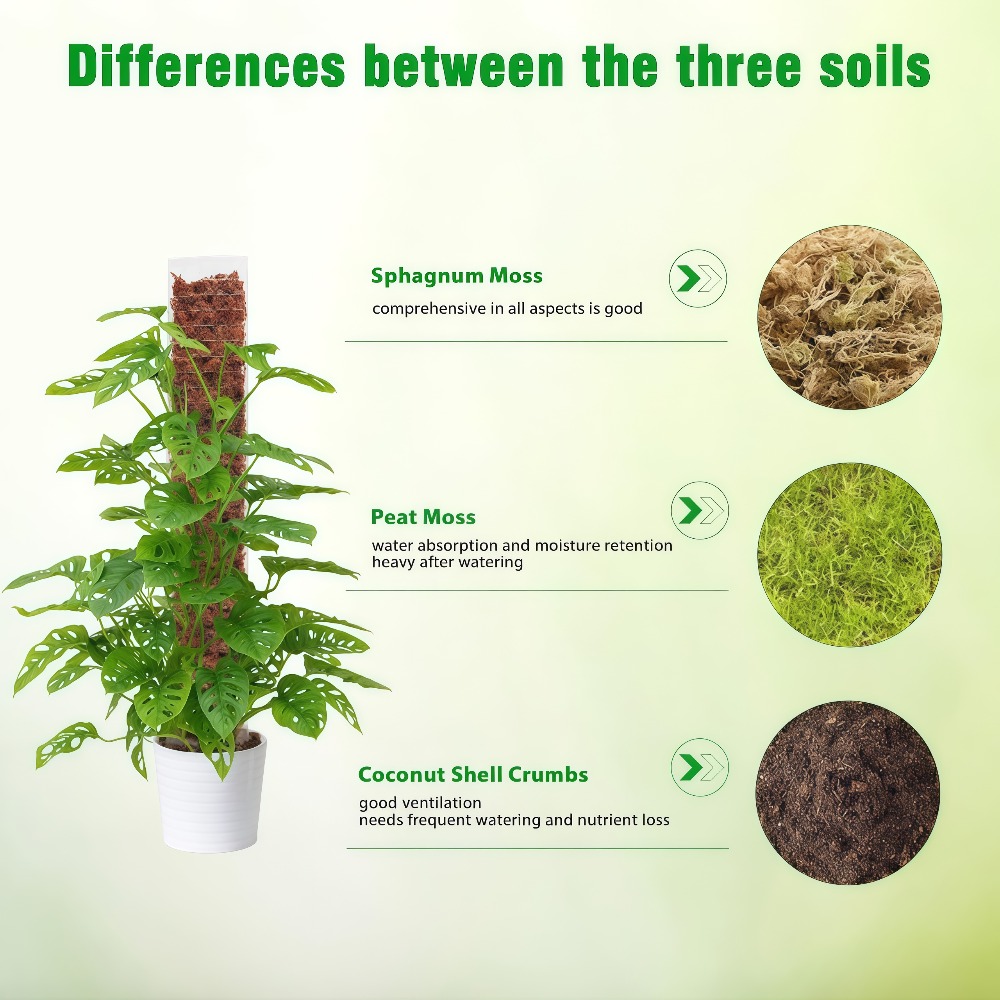 Moss Pole Plastic Plant Stand  - огляд і ціна Sphagnum Moss Dry